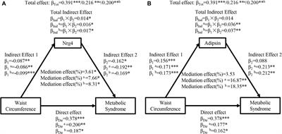 Adiposity Measurements and Metabolic Syndrome Are Linked Through Circulating Neuregulin 4 and Adipsin Levels in Obese Adults